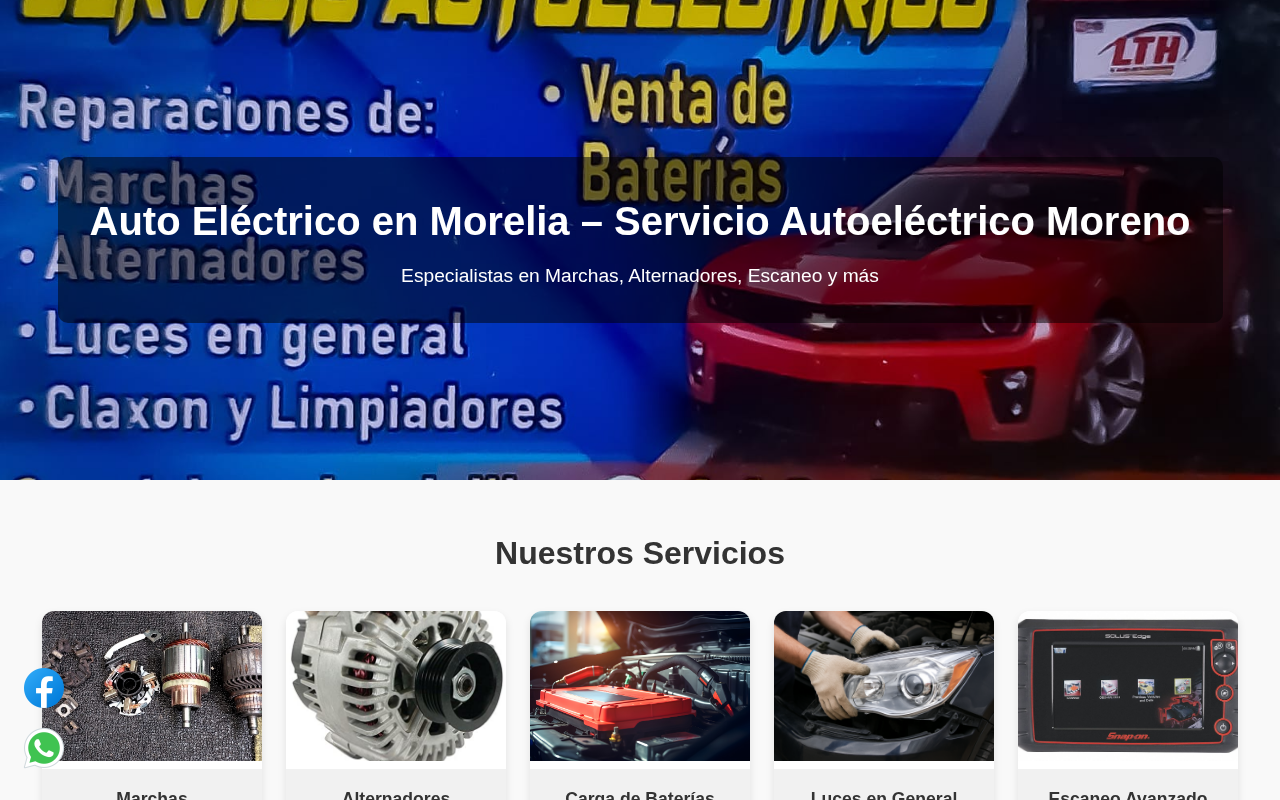 Captura del proyecto Autoeléctrico